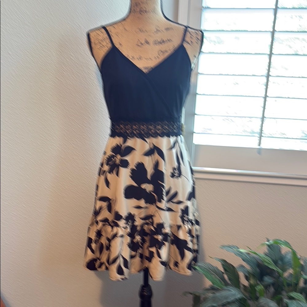Source Unknown Black and Tan Sleeveless Fit and Flare Mini Dress